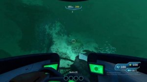 Где найти рубины в игре Subnautica