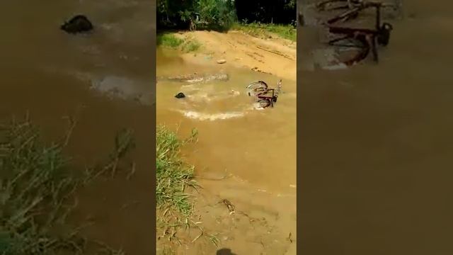 Dhubri Local whatsapp video xxx boy(3) смотреть онлайн