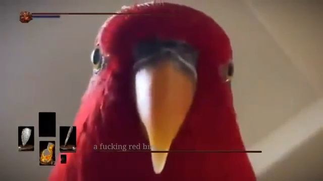 Dark Souls Попугай смотреть онлайн