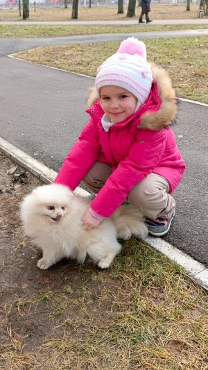 Мама купи пёсика ))