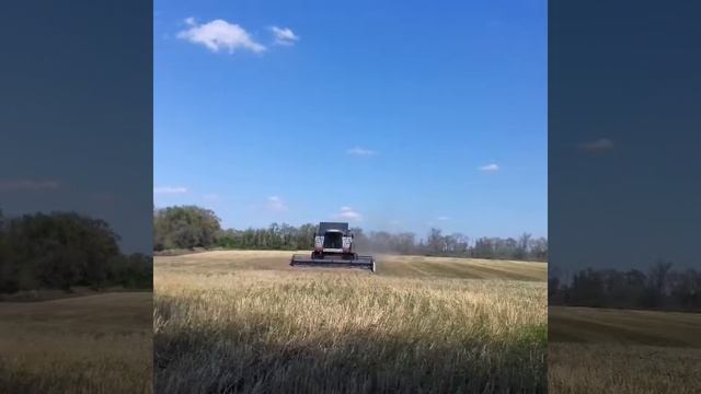 Уборка ячменя. Акрос 530. Луганская обл. смотреть онлайн
