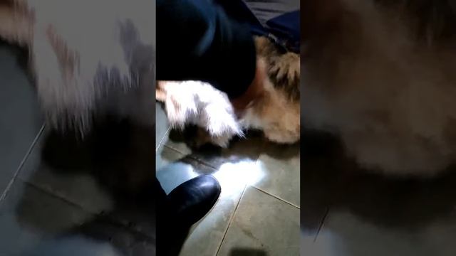 Вырвало вентиль на стояке... смотреть онлайн
