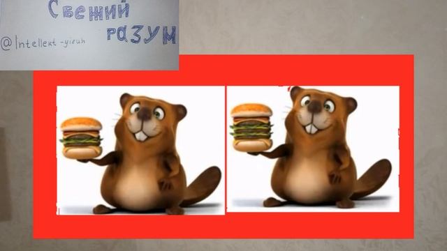 Видите отличия у бобра