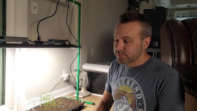 How And When To Fertilize Seedlings