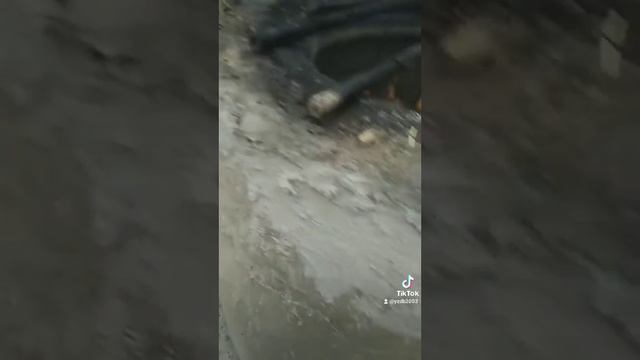 Samarqand Tandir Kabob 👍Jasmin 👍