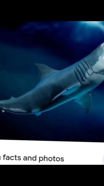 2024, megalodon shark vs mosasaurs 2025 смотреть онлайн