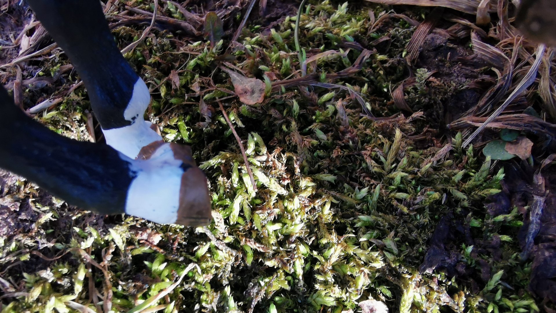 Сериал Отряд Хайгая 7 сермя