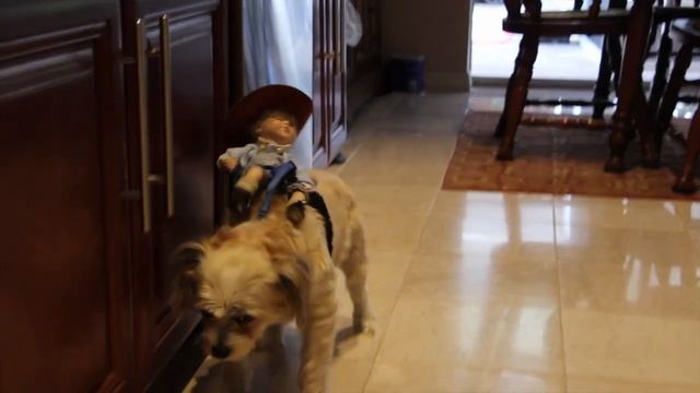 DOGS/ SEXY LEXI MY LITTLE COW GIRL/ CHERYLS HOME COOKING/ EPISODE 340 смотреть онлайн