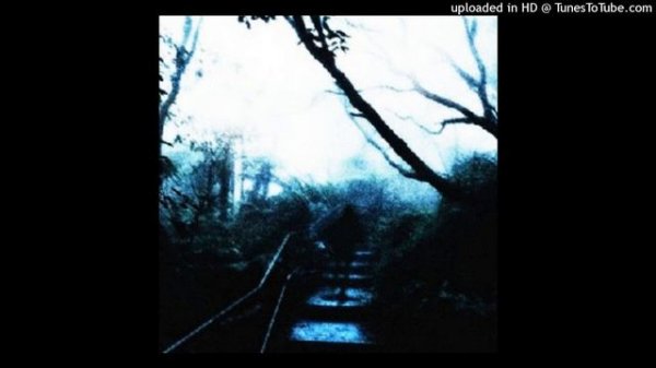 zxcursed, MUPP - waste