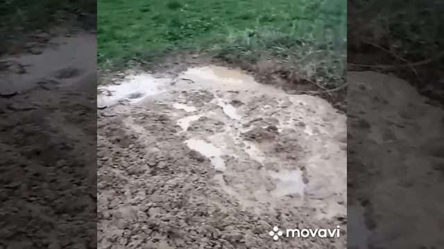 Воложинский раен д Каливария,колодец из 5 колец,прошли плывун дошли до глины. смотреть онлайн