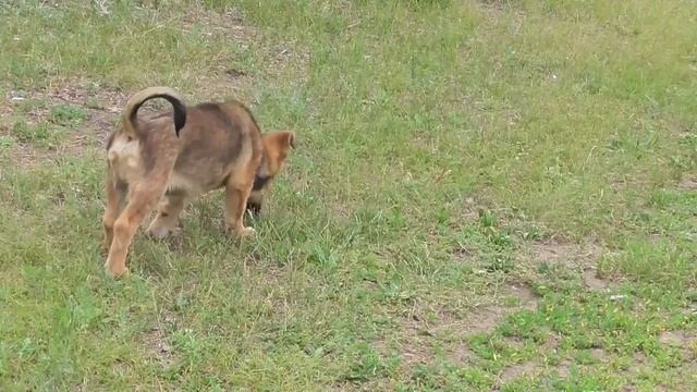 Летние зарисовки