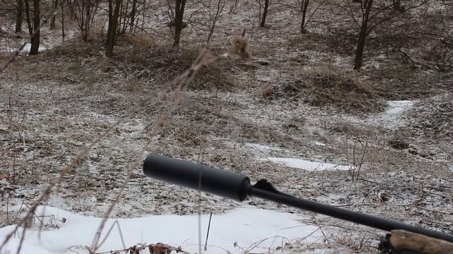 Саунд Tihon 45 cal 308 win смотреть онлайн