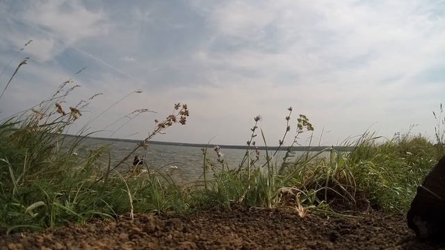 Попытка стартовать на парафойле Pansh Aurora III 10m2