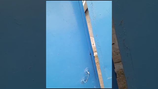 Марина идет домой июль 24год