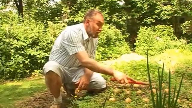 Телеканал "Усадьба" - Бесполезные растения смотреть онлайн