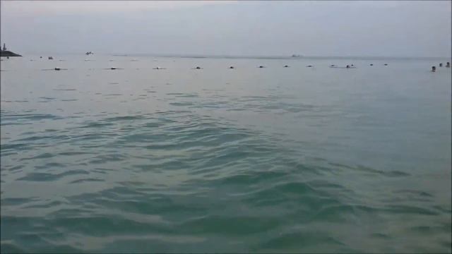 Железный Порт Дельфин смотреть онлайн