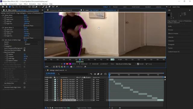 How To Rotoscope In 2022 | After Effects / Premiere Pro | Tutorial