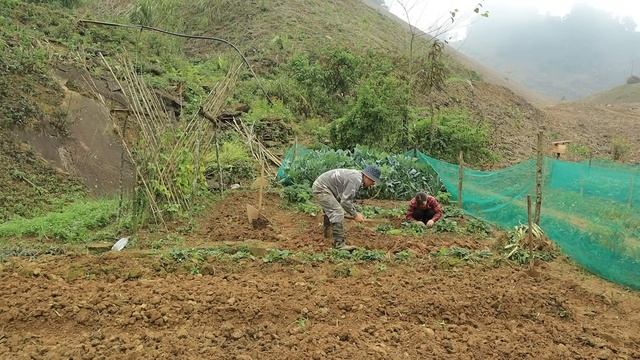 Building a new life Ep.71 | hoe, add fertilizers and plant watermelon | live with nature смотреть онлайн