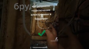 Подключение брудера своими руками. #брудер#цыплята
