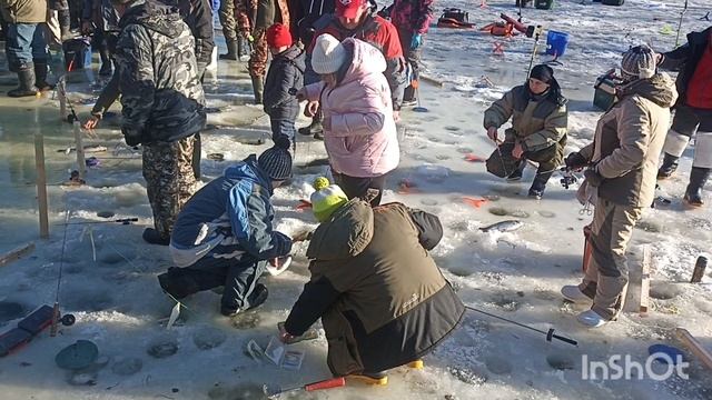 Здесь рыба есть смотреть онлайн