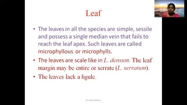 Lycopodium-  Structure  (Dr. Kanta Meena,  Assistant Professor)