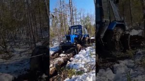 Мтз82 и легендарный Т40ам на лёгком бездорожье