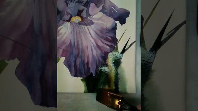 Painting the Background - Iris смотреть онлайн