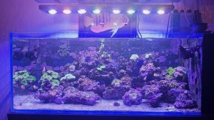 Светильник для морского аквариума  Week Aqua Z400 Sea