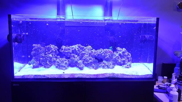 XR15 G6 BLUE RADION PAR Over Red Sea Reefer 350