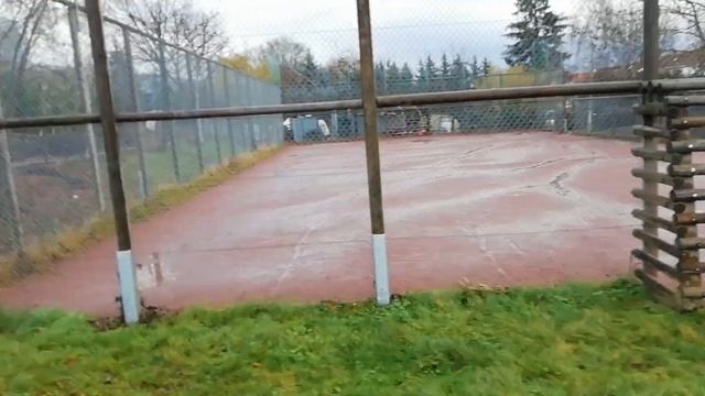 В Германии цветёт кустарник. Зима а у нас плюсовая температура. Январь. смотреть онлайн