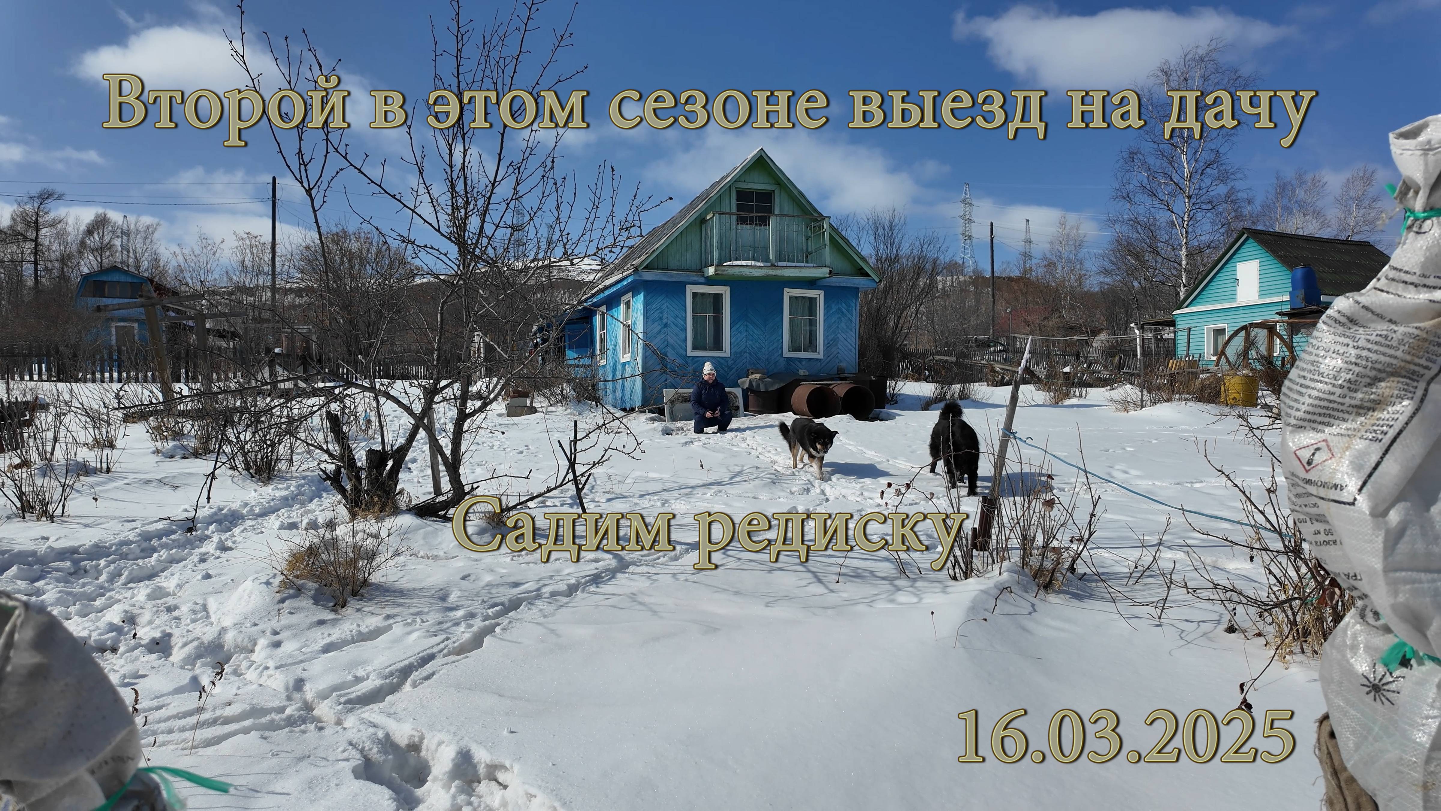 Второй в этом сезоне выезд на дачу. Садим редиску. 16.03.2025 смотреть онлайн