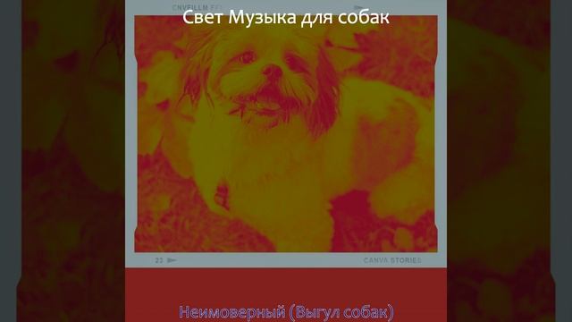 Звуки (Тихие щенки) смотреть онлайн