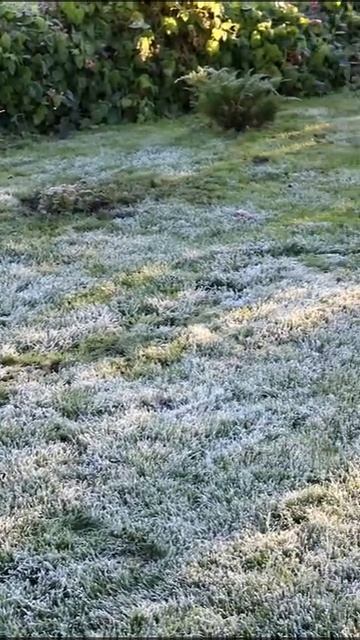 С ДОБРЫМ УТРОМ! С ПЕРВЫМ ДНЁМ ОКТЯБРЯ))) смотреть онлайн