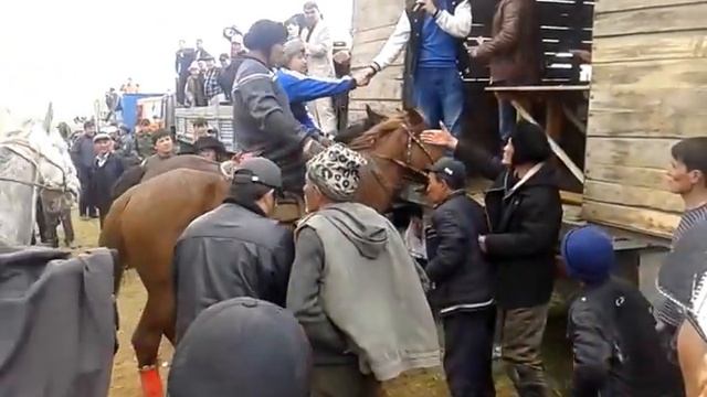 Суан каска. Халык палуан смотреть онлайн