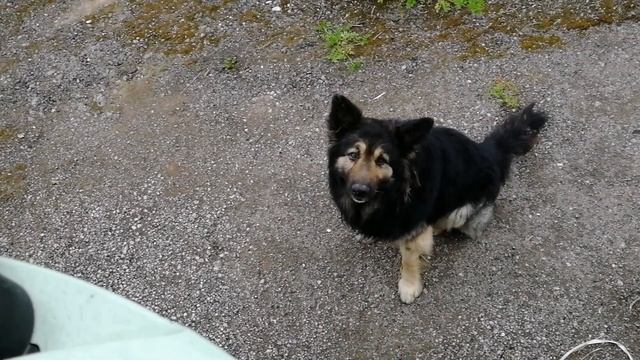 VLOG.Немного из рейса. смотреть онлайн