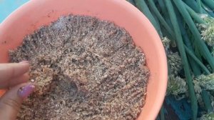 23-24 июня. Наша простая жизнь @Другая жизнь Татьяны Огнивенко.