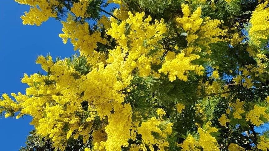 Весенние эскизы смотреть онлайн