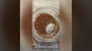 Печеньки из льняного жмыха🍪