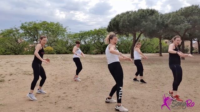 DUELE EL CORAZÓN,  Enrique Iglesias (ft.Wisin)