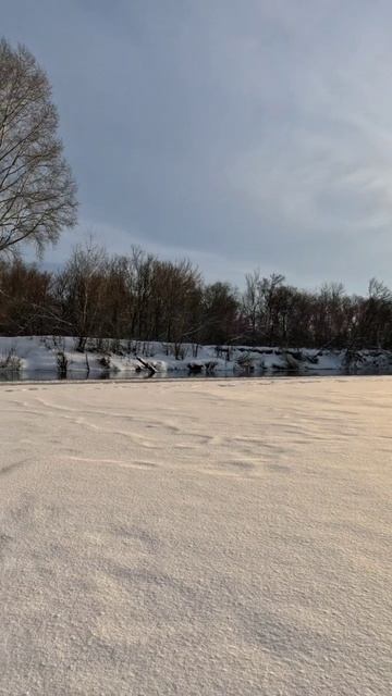 #рыбалка #окунь 🐟