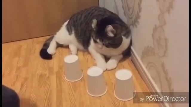 Ржу не могу 😂😂😂 тест на психику!!! смотреть онлайн