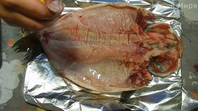 КОКТАЛ - РЫБА ПО - КАЗАХСКИ