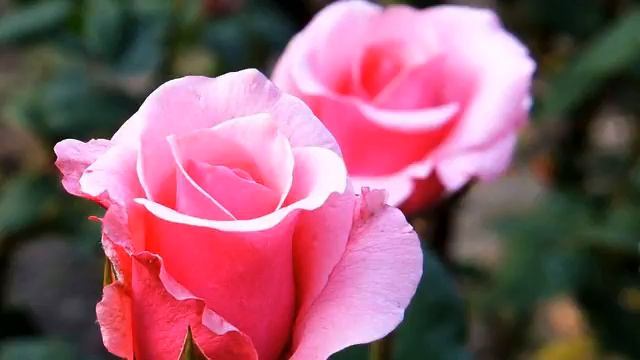 Слушать лучшую русскую песню и фото онлайн