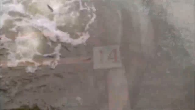 Зарыбление осетром нижнего водоёма 200 кг. Клёвое место, Лосиный остров. смотреть онлайн