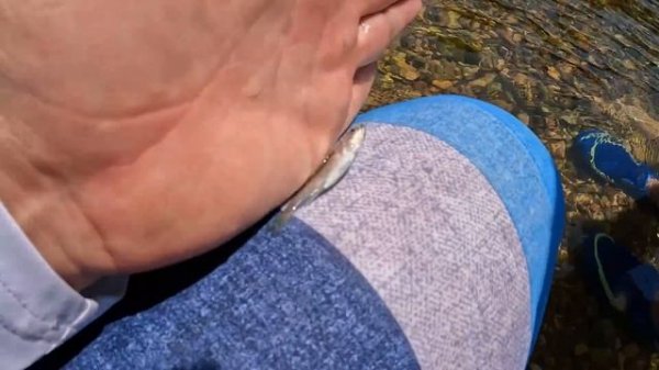 Monster Jam Truck Adventure Down the River with Bigfoot