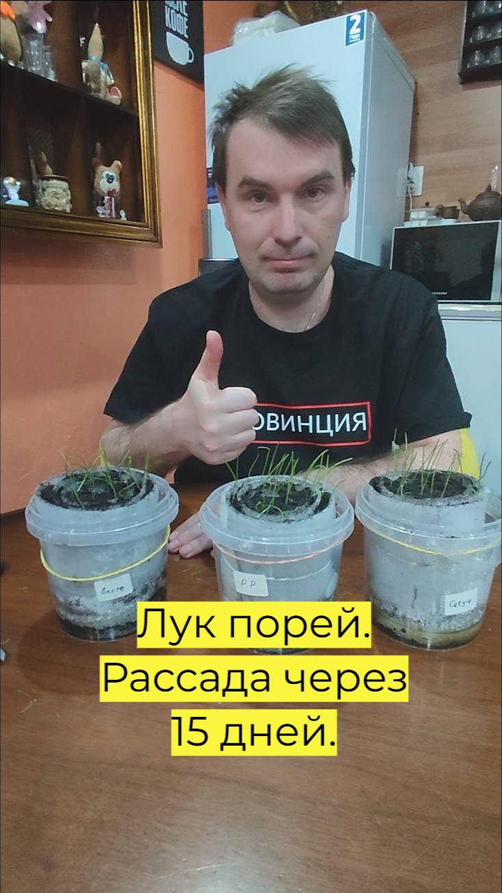 Лук порей. Рассада через 15 дней смотреть онлайн