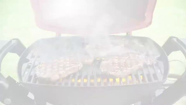 Weber Q1250 Portable Gas Grill | MeatKing.hk