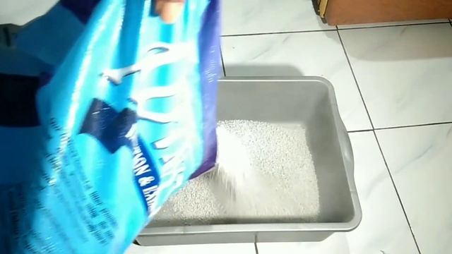 Pasir Kucing Merk Advance Ngegumpal Atau Gak? смотреть онлайн