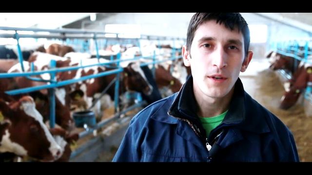 Агропромышленный холдинг Проминвест, итоги года