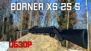 Borner XS25S МОЩНАЯ И НЕДОРОГАЯ пневматическая винтовка 4.5 мм ОБЗОР #borner